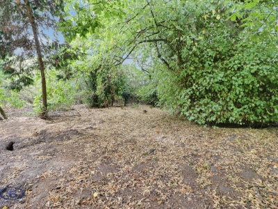 Picture 30
